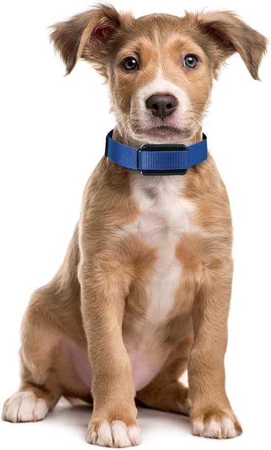 Replacement Strap for Dogtra Collars - 3/4" Wide Ultra-Durable Dog E-Collar Replacement for Training, Bark, Shock, Electric, and GPS Collars - 28" Adjustable Length Solid Black
