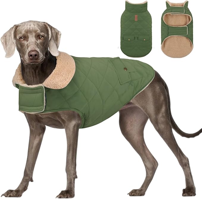 Dog Winter Jacket for Extra-Large Dogs, Pet Windproof Cold Weather Coats, Pets Clothes Snow Jacket, Golden Retriever, Labrador Retriever, Husky, Army Green XL