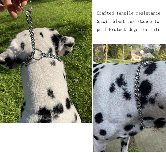 Silver Flat Dog Chain Collars,Slip P Link Metal Dog Collar,Adjustable Training Heavy Duty Martingal Collar for Dogs for Small Medium Large Dog Xs