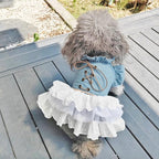 Pink Dog Dress for Small Dog Girl Spring Puppy Clothes with Bow Puff Sleeves Cat Outfit Doggy Princess with Leash Ring Doggies Harness Dress Summer Pet Apparel (Blue, X-Small)
