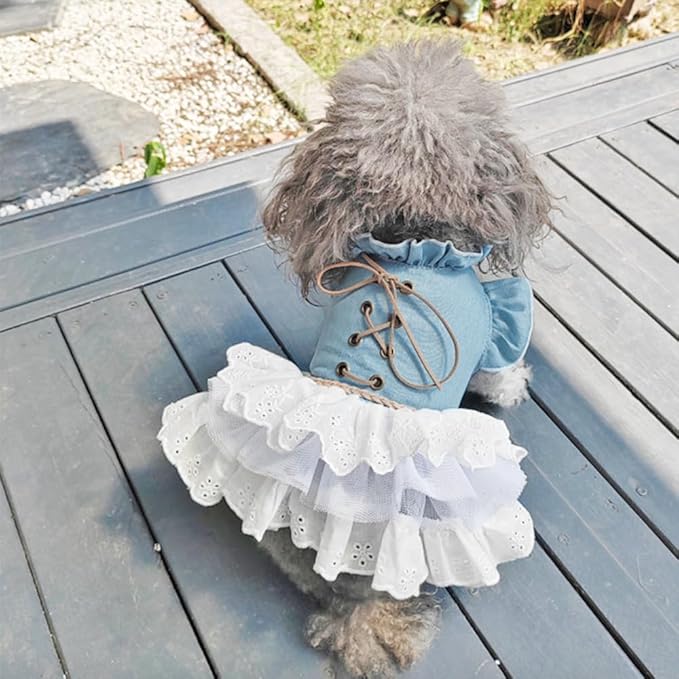 Pink Dog Dress for Small Dog Girl Spring Puppy Clothes with Bow Puff Sleeves Cat Outfit Doggy Princess with Leash Ring Doggies Harness Dress Summer Pet Apparel (Blue, X-Small)