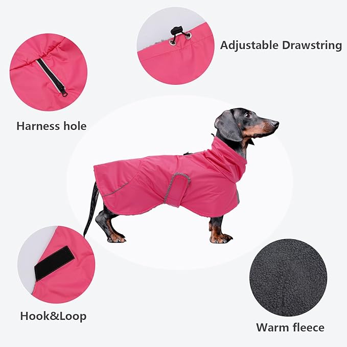 Dachshund Coats Waterproof, Perfect for Dachshunds, Sausage, Weiner Dog Winter Coat with Padded Fleece, Puppy Snowsuit with Adjustable Bands and High Vis Reflective Trim - Pink - XS