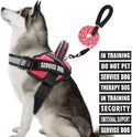 Service Dog Vest Harness and Leash Set, Animire in Training Dog Harness with 10 Dog Patches, Reflective Dog Leash with Soft Padded Handle for Small, Medium, Large, and Extra-Large Dogs (Rosy,XL)
