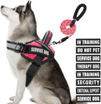 Service Dog Vest Harness and Leash Set, Animire in Training Dog Harness with 10 Dog Patches, Reflective Dog Leash with Soft Padded Handle for Small, Medium, Large, and Extra-Large Dogs (Rosy,XL)