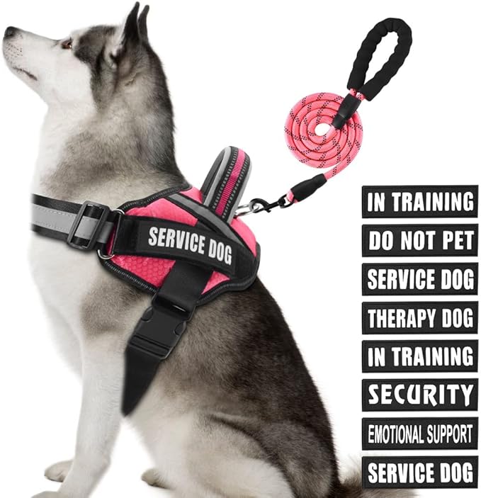Service Dog Vest Harness and Leash Set, Animire in Training Dog Harness with 10 Dog Patches, Reflective Dog Leash with Soft Padded Handle for Small, Medium, Large, and Extra-Large Dogs (Rosy,XL)