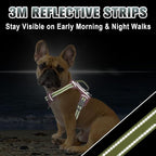 BARKBAY No Pull Dog Harness Large Reflective Dog Harness with Front Clip and Easy Control Handle for Walking Training Running with ID tag Pocket(Baby Pink & Sunlight,S)