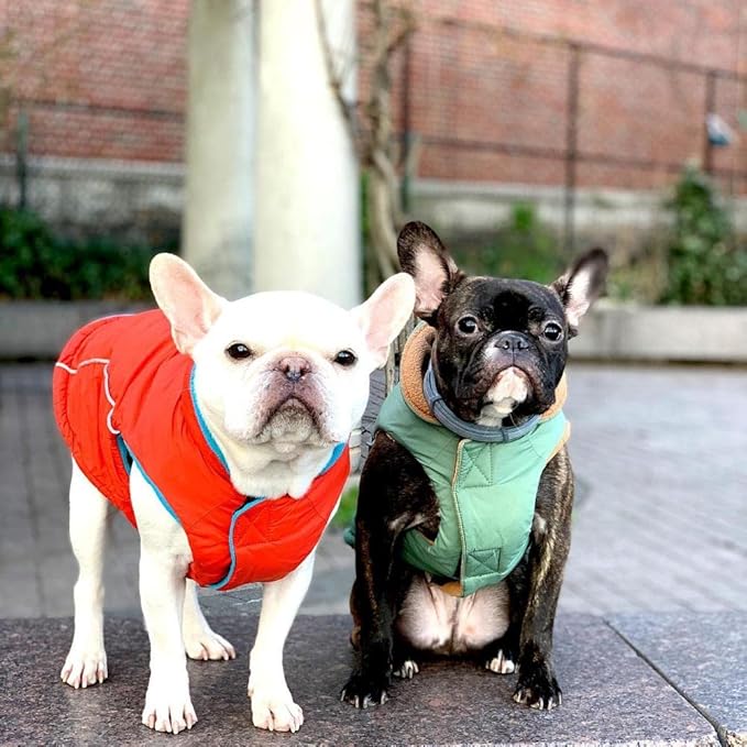 Gooby - Sports Vest, Fleece Lined Small Dog Cold Weather Jacket Coat Sweater with Reflective Lining, Green, Small
