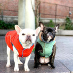 Gooby - Sports Vest, Fleece Lined Small Dog Cold Weather Jacket Coat Sweater with Reflective Lining, Blue, Large