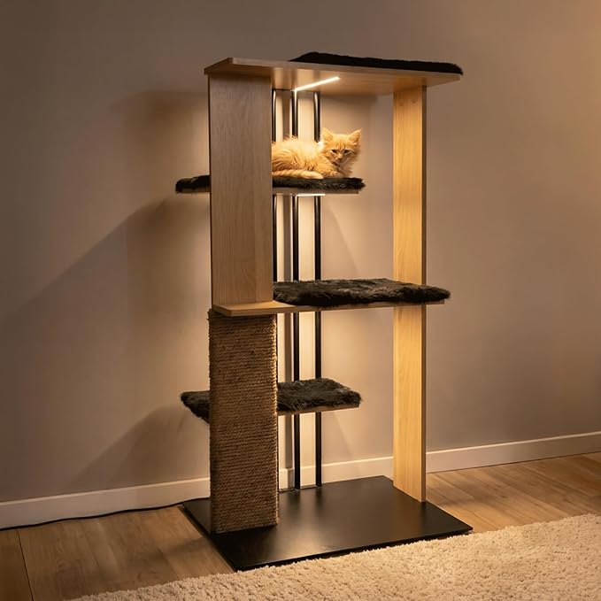 4 Cats & Dogs Cali Cat Tree 24″ x 18″ x 47″ with Scratching Post, 4 Platforms, LED Lighting, Engineered Wood & Sisal Rope – Modern Cat Tower, Cat Scratcher for Indoor & Large Cats - Oak