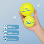 Best Pet Supplies Interactive Squeaky Dog Chew Toy, Ideal Dog Toys for Chewers, Small, Medium & Large Dogs, and Fetch Lovers - Tennis (Yellow), Large (Pack of 4)