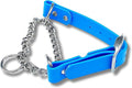 Martingale Collar for Dogs, Biothane, Stainless Steel Hardware, No Pull, Made in The USA, Professional Grade, Medium Light Blue