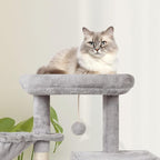 MIAO PAW Grey Cute Cat Tree Tower for Indoor Cats Condo with Sisal Scratching Posts Jump Platform Furniture Activity Center Play House Bed