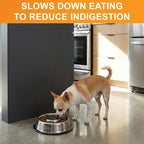 Neater Pet Brands Stainless Steel Slow Feed Bowl - Non-Tip & Non-Skid - Stops Dog Food Gulping, Bloat, Indigestion, and Rapid Eating (1.5 Cup)