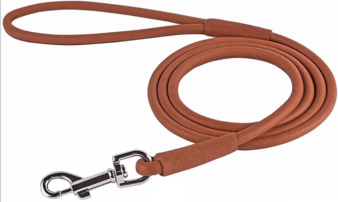 CollarDirect Rolled Leather Dog Leash 4ft, Soft Padded Training Leather Dog Lead 6ft, Puppy Leash Small Medium Large Black Blue Red Orange Green Pink White (Red, Size S 6ft)