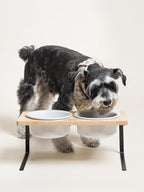 Elevated Dog Bowls, Raised Dog Bowl Stand with Two 6.5 inch Ceramic Bowl, Non-Slip Puppy Food and Water Bowls, Dogs Feeder for Small and Medium Breed, White