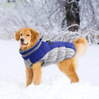 Lelepet Dog Coat Warm Dog Winter Coat Waterproof Dogs Jacket with Harness Built in Reflective Pet Fleece Vest Zip-Up Cold Weather Coats for Large Dogs Turtleneck & Windproof Coats Boston Terrier Blue