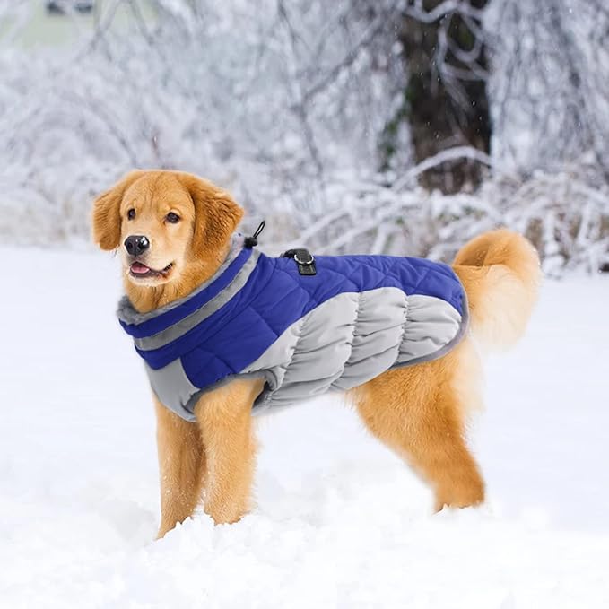 Lelepet Dog Coat Warm Dog Winter Coat Waterproof Dogs Jacket with Harness Built in Reflective Pet Fleece Vest Zip-Up Cold Weather Coats for Large Dogs Turtleneck & Windproof Coats Pitbull Blue 2XL