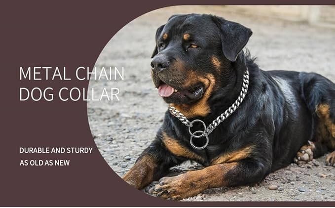 Silver Dog Chain Collar for Dogs Metal Collar Link Training Slip P Puppy Martingale Collars Necklace for XXS XS Small Medium Large Big XL Breed Dogs L