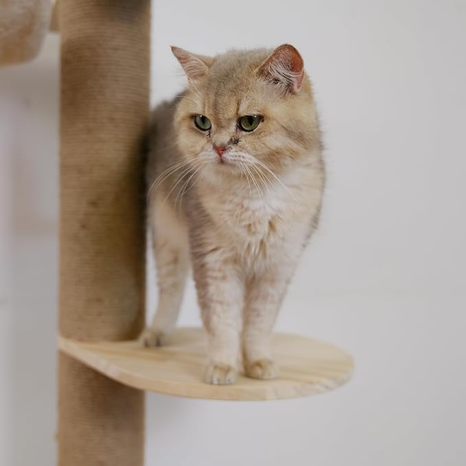 Cat Tree Jumpers Accessories Cat Tower Replacements Floor to Ceiling Cat Jumpers…