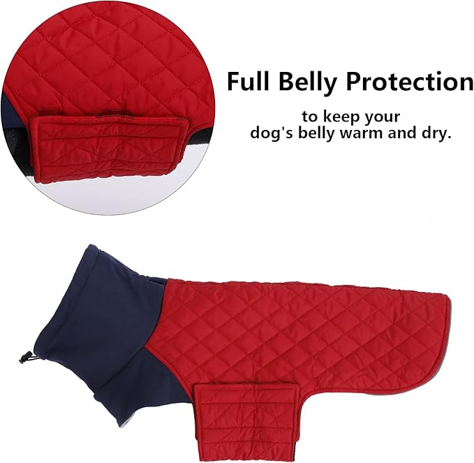 Geyecete Dachshund Coat,Dachshund Winter Coat,Warm Waterproof Windproof, High Neckine String Holes Miniature Dachshund Jacket for Small Dog-Red-XL