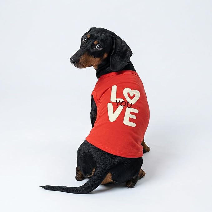 Fitwarm Love You Dog Shirt, Funny Valentines Outfit for Small Dogs Boy Girl, Festive Pet Clothes, Red, White, Medium