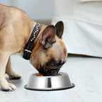 2 Pack Stainless Steel Dog Bowls with Rubber Bottom, Anti-Slip Heavy Duty Premium Quality Pets Feeder Bowls for Dogs and Cats and More (1½Cup / 10oz)