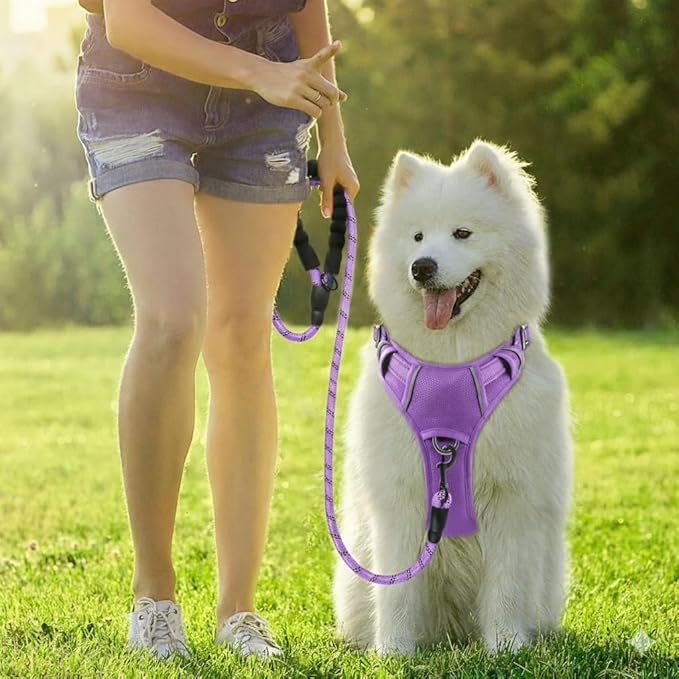 BARKBAY Dog Harness No Pull Oxford with ID Tag Pocket - Heavy Duty, Reflective, Easy Control for Large Dogs(Violet Purple Oxford,M)