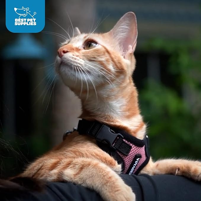 Voyager Step-in Lock Pet Harness - All Weather Mesh, Adjustable Step in Harness for Cats and Dogs by Best Pet Supplies - Army/Black Trim, XS (Pack of 2)