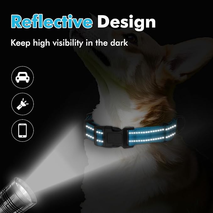 Martingale Collar for Dogs with Quick Release Buckle, Reflective Soft Padded & Escape Proof, Adjustable Nylon Dog Collars for Training & Daily Walking (Aqua Blue,XS)