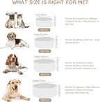 SPUNKYJUNKY 13.5OZ Ceramic Dog and Cat Bowl, Modern Cute Weighted Food Water Bowl for Replacement White (2 Pack)