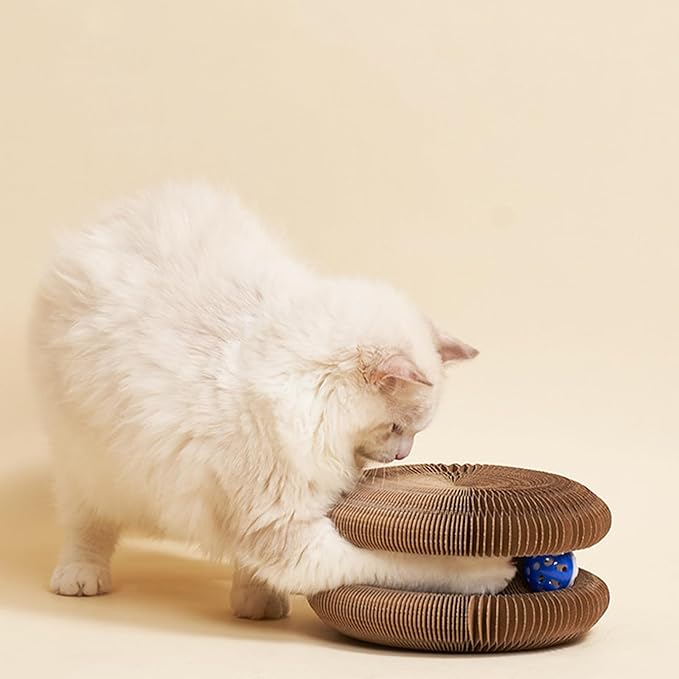 Kitty Curls Cat Toy Kurlz, Interactive Scratch Pad, Foldable Accordion,Recyclable Scratcher with Ball (Black)