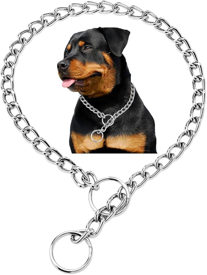 Silver Dog Choker Chain,Metal Slip Link P Chain Training Heavy Duty Male Boys Martingale Collar Female Girls Puppy Collars for XXS XS Small Medium Large Big Breed,L