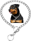 Silver Dog Choker Chain,Metal Slip Link P Chain Training Heavy Duty Male Boys Martingale Collar Female Girls Puppy Collars for XXS XS Small Medium Large Big Breed,L