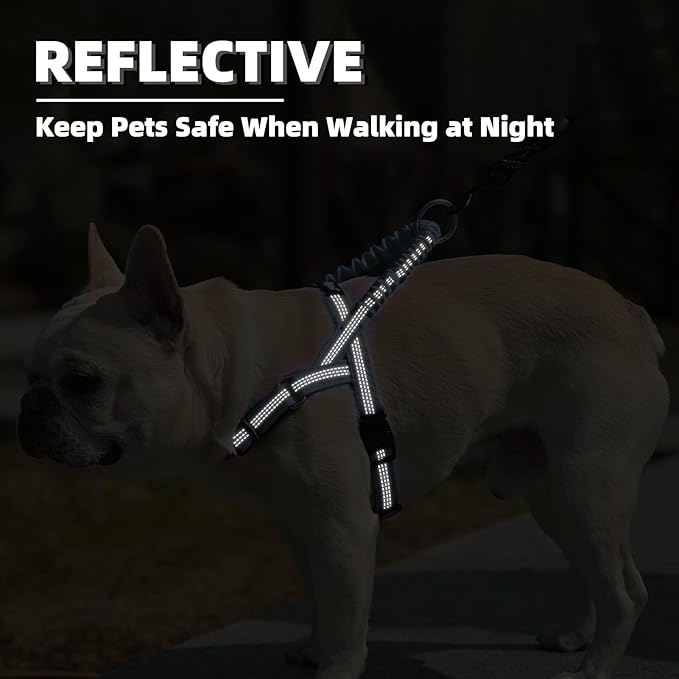 PUPTECK No Pull Dog Harness Small Sized Dog, Adjustable Reflective Pet Vest Harness with Bungee Handle, Escape Proof No Choke Harness for Small Dogs Walking Training, Sky Blue M