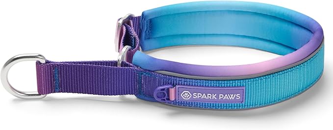 Spark Paws Martingale Dog Collar – Cushioned Slip-On Training Collar, Heavy Duty, Safety-Tested No-Buckle Collar for Medium & Large Dogs - 90s Retro - E