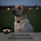 Dog Training Collar Replacement and Shock Collar Strap - 3/4 Inch Wide Adjustable Nylon Band with Reflective Replacement Strap for E Collar and Bark Collar (Orange)