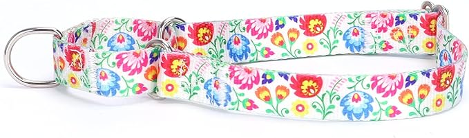 Serijoars Adjustable Martingale Dog Collar Heavy Duty Nylon Dog Collar for Medium Large Dogs Walking Training Boy and Girl Dogs (M, Peacock Flower)