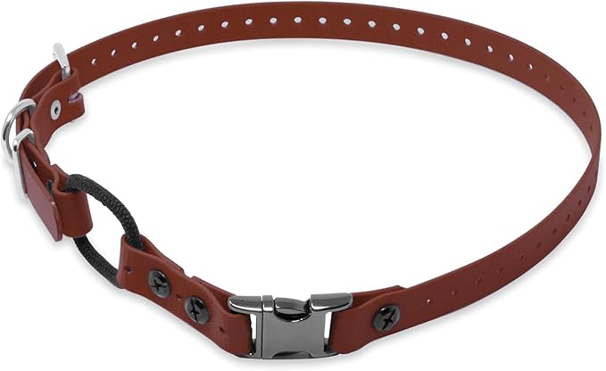 Educator 1-Inch Dog Training Collar Strap – ONLY Fits FE-580, ET-800 & UL-1200 Receivers – NOT Compatible with Mini Educator (ET-300/ET-400) – Quick Snap Biothane Bungee Collar, Brown