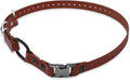 Educator 1-Inch Dog Training Collar Strap – ONLY Fits FE-580, ET-800 & UL-1200 Receivers – NOT Compatible with Mini Educator (ET-300/ET-400) – Quick Snap Biothane Bungee Collar, Brown