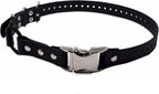 Educator 1-Inch Dog Training Collar Strap – ONLY Fits FE-580, ET-800 & UL-1200 Receivers – NOT Compatible with Mini Educator (ET-300/ET-400) – Quick Snap Biothane Bungee Collar, Black