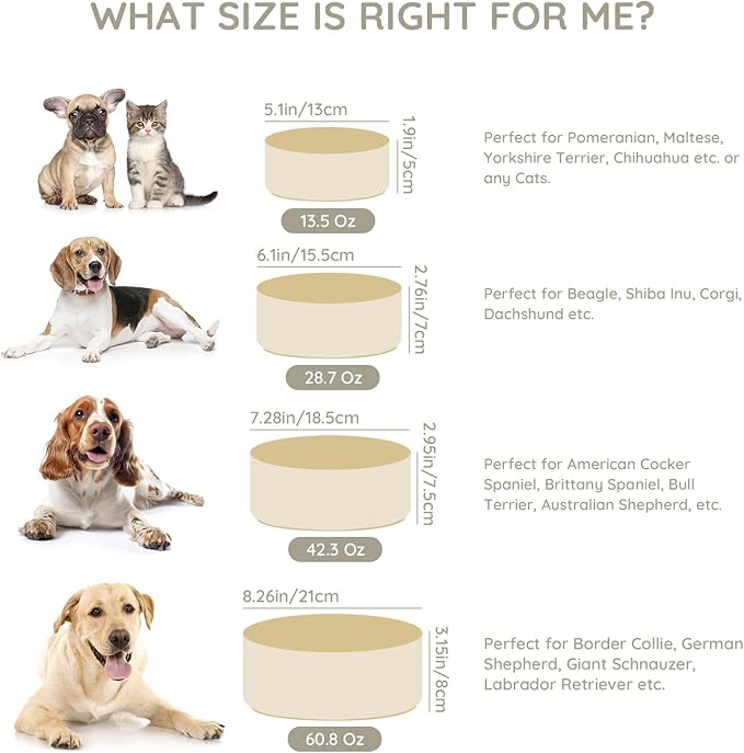 SPUNKYJUNKY 13.5OZ Ceramic Dog and Cat Bowl, Modern Cute Weighted Food Water Bowl for Replacement Beige (2 Pack)