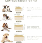 SPUNKYJUNKY 60OZ Ceramic Dog and Cat Bowl, Modern Cute Weighted Food Water Bowl for Replacement Beige (2 Pack)