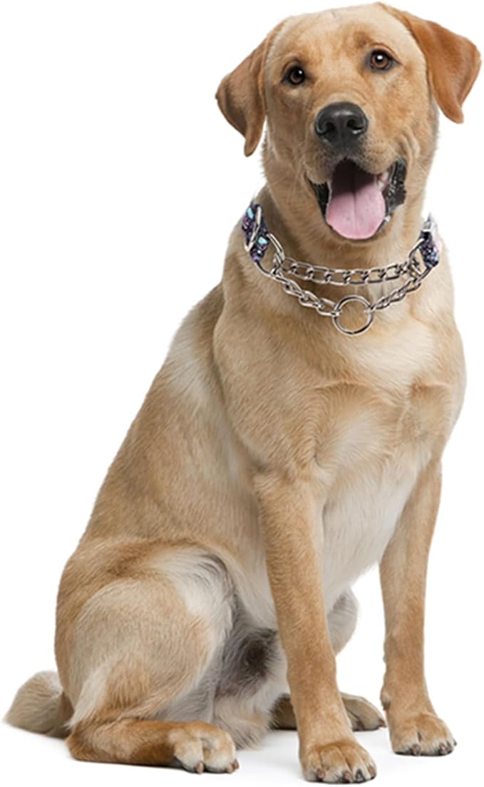 Stainless Steel Choke Collar for Dogs,Martingale Collar for Dogs,No Pull Dog Collar for Large Dogs,Training Escape Proof Heavy Duty Dog Dog Collar for Medium Large Pet Boy Male Dogs, Skull XL