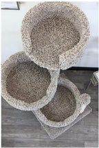 Cat Tree for Large Cats - Solid Wood & Carpet 50" Tall