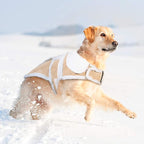 Namsan Medium-Small Dog Coat for Winter, Fleece Dog Jackets with Leash Hole Medium Breeds, Warm Doggie Coats for Medium Dogs, Dogs Vest with Adjustable Magic Tape, Easy to Wear, M