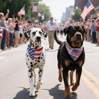 2PCS Dual-Layer Design Patriotic Dog Bandanas Outfit,Large Summer Triangle Reversible Memorial Day Independence Day American Flag 4th of July Scarf for Big Boy and Girl Dogs Red White Blue