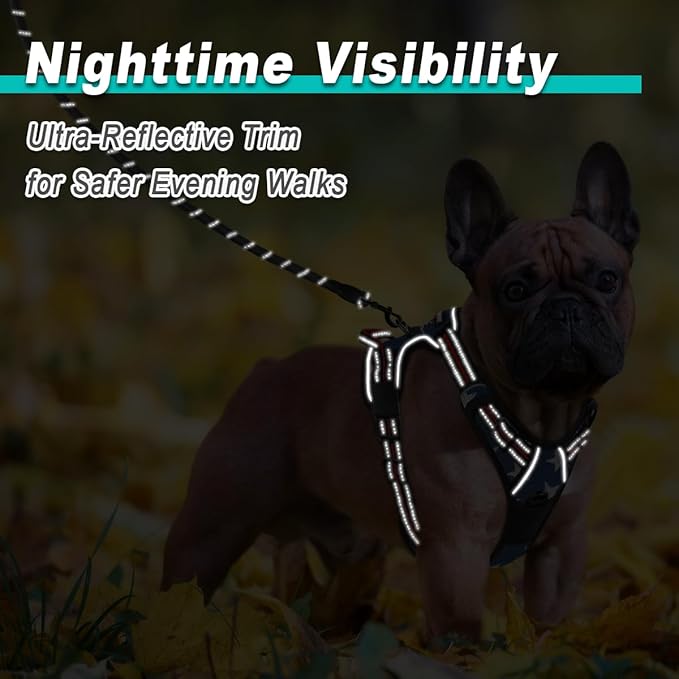 BARKBAY Dog Harness No Pull Mesh for Small Dogs - Adjustable, Reflective, Comfortable, No Choke, Heavy-Duty - Perfect for Outdoor Training, Walking, and Hiking - Strong & Durable- XS & Blue Star Mesh