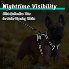 BARKBAY Dog Harness No Pull Mesh for Small Dogs - Adjustable, Reflective, Comfortable, No Choke, Heavy-Duty - Perfect for Outdoor Training, Walking, and Hiking - Strong & Durable - S & Blue Star Mesh