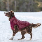 Blueberry Pet Cozy & Comfy Windproof Lightweight Quilted Fall Winter Glossy Dog Puffer Jacket in Deep Rouge, Back Length 24", Size 22, Warm Coat for Large Dogs