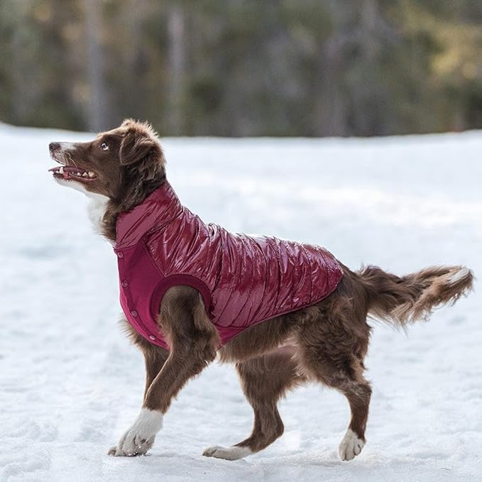 Blueberry Pet Cozy & Comfy Windproof Lightweight Quilted Fall Winter Glossy Dog Puffer Jacket in Deep Rouge, Back Length 15.75", Size 14, Warm Coat for Medium Dogs